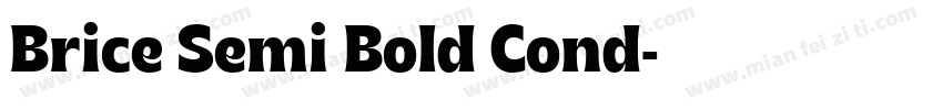 Brice Semi Bold Cond字体转换